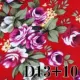 D13+10 красный