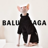 Y · H касается искреннего снежного бархатного свитера осенью и зимой, толстая одежда безволосочной кошки yonghe safax