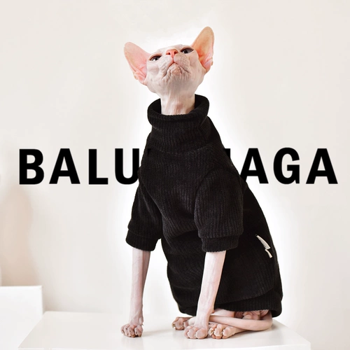 Y · H касается искреннего снежного бархатного свитера осенью и зимой, толстая одежда безволосочной кошки yonghe safax