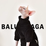 Y · H касается искреннего снежного бархатного свитера осенью и зимой, толстая одежда безволосочной кошки yonghe safax