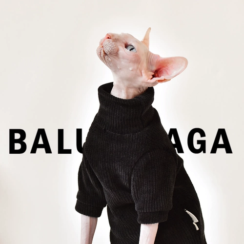 Y · H касается искреннего снежного бархатного свитера осенью и зимой, толстая одежда безволосочной кошки yonghe safax