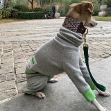 Магазин 14 лет, 13 размеров, более трех размеров домашних животных, борзая, уиппет, выкройка одежды для четвероногих, специальные рисунки одежды для собак добермана-пинчера.