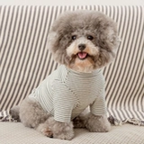 14 -летний магазин 13 размеров, сосредоточенная на производстве домашних животных, версия рубашки плюшевой рубашки, одежды, кошки, картонного рисунка -наказывающая бумага -режущая форма