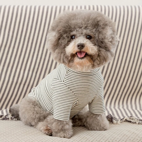 14 -летний магазин 13 размеров, сосредоточенная на производстве домашних животных, версия рубашки плюшевой рубашки, одежды, кошки, картонного рисунка -наказывающая бумага -режущая форма