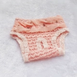 Собака v брюки с оценкой во время брюк, мальчик -женщина упаковала внутренние брюки летние кружевные плюшевые плюсы Мемориальные штаны Большая собака