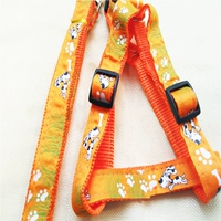 Апельсиновая собака