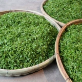 Shandong Rizhao Green Tea Tea Luotian Новый год чайный аромат 2020 ароматный аромат на 250 г вперед кровь каштаны