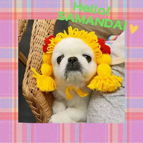 Шапка, милый шлем с косичкой, аксессуар для волос