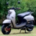 Xe tay ga nhiên liệu rùa nhỏ xe máy vua 125cc nhiên liệu tăng cường bàn đạp xe tay ga - mortorcycles mortorcycles