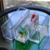 Bình thủy tinh dài bình thủy canh hình chữ nhật nhà máy chứa nước sáng tạo bể cá rùa hoa chậu lớn - Vase / Bồn hoa & Kệ