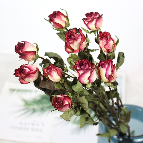 Юньнань роза сушеные цветок истинный цветочный воздух -удивление DIY ручной материал для цветочного материала гостиная Магазин Мягкая мебель Декоративная цветочная композиция литература и искусство