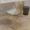 Bàn máy tính Bắc Âu bàn trắng đơn giản bàn gỗ rắn phòng ngủ nhà sinh viên ngân sách bàn - Bàn