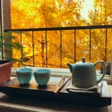 Вэнь сказал | Тяжелый бамбук -квадратный чайная тарелка Гуайфеи Тень Зеленый чай набор японского в стиле сухой чай