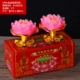 № 5 Fortune Gold 1 коробка 2 капсулы