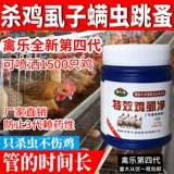 Медицина курицы в посечниках куриная птица -птица Четвертая генерация куриные вшиные привод в конечных вшах Медицина.