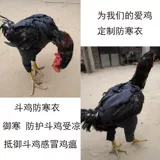 Борьба с куриной продукцией, борьба с курицей, борьба с курицей борьба с курицей курица Королевская одежда Thai Thaif