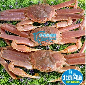 Свежие морепродукты Аляскин с длинными крабами краба краба крабов снежный полю краб Большая доска краб мужчина краб