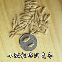 500 граммов небольших гранул натуральных серы в городе Мяньян, Сычуань, Сычуань.
