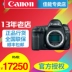 Canon Canon 5D4 một thân máy EOS 5D Mark IV 5DIV Máy ảnh DSLR màn hình cảm ứng Máy ảnh 4K - SLR kỹ thuật số chuyên nghiệp máy ảnh cơ SLR kỹ thuật số chuyên nghiệp