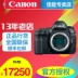 Canon Canon 5D4 một thân máy EOS 5D Mark IV 5DIV Máy ảnh DSLR màn hình cảm ứng Máy ảnh 4K - SLR kỹ thuật số chuyên nghiệp