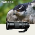 Gửi gương UV nguyên bản Tamron SP 150-600mm f 5-6.3 Di VC USD Ống kính máy ảnh SLR ống kính viltrox Máy ảnh SLR