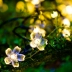 đèn led năng lượng mặt trời sân vườn Đèn LED năng lượng mặt trời hoa anh đào Đèn màu ngoài trời Sân vườn không thấm nước Đèn trang trí nhà Đèn nhấp nháy đầy màu sắc đèn năng lượng mặt trời cắm sân vườn 