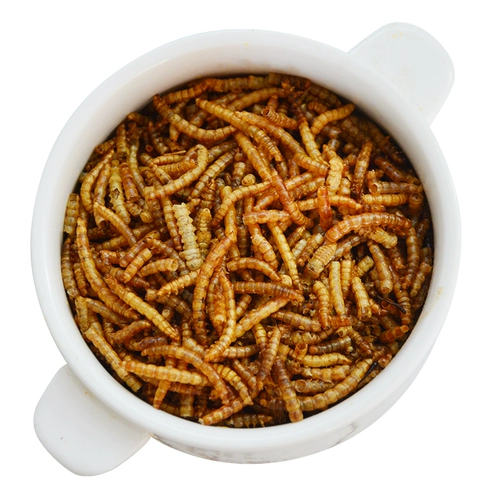 10 Юань 3 упаковки ароматного хлебного червя сухожили желтый порошок червь зерно зерно 50 г ходьба продукты черепаха пища