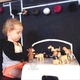 Xuất khẩu Úc Trẻ Em Mô Phỏng Bằng Gỗ Pocket Animal Doll Bé Hữu Cơ Maple House Đồ Chơi Giáo Dục 1 + Đồ chơi gia đình