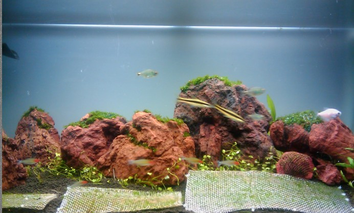 火山石石块 玄武岩假山 火山岩 造景 水族设备 罗汉石 石头