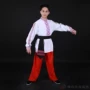 Qingyi 2019 mẫu sản xuất tại Nga quần áo gió nam quốc gia Tân Cương trang phục biểu diễn sân khấu - Trang phục dân tộc trang phục dân tộc