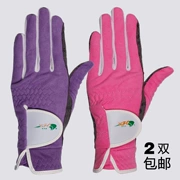 Găng tay Golf XFC của phụ nữ trái và tay phải dài kem chống nắng đàn hồi Skid Wearable Breathable hai cặp