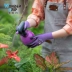 Mạnh mẽ hơn găng tay làm vườn màn hình cảm ứng WG-566 chống đâm chống buộc hoa nghệ thuật trồng hoa trồng hoa làm cỏ vườn các loài vườn găng tay làm vườn có móng gang tay lam vuon 