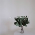 Hải quan ghi chú đơn giản Bắc Âu hoa mô phỏng cây xanh tươi Lá bạch đàn lá tròn trang trí nhà trang trí hoa trang trí - Trang trí nội thất