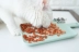 House Cat Sauce Hải sản Vương quốc Mèo Snacks Royal Salmon Tuna Pie Cat Snack Mực Sò điệp Cá thức ăn cho mèo royal canin Đồ ăn nhẹ cho mèo