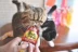Nước sốt mèo nhà Inabao dán dinh dưỡng cho mèo Thức ăn bổ sung sữa lắc Thức ăn ướt Gói thức ăn cho mèo Mèo mang thai mèo 1 hạt zenith cho mèo Đồ ăn nhẹ cho mèo