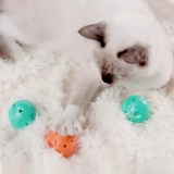 Сяо Пей Петкит Мяу Звезда Кот Корбинг Когт Кот Кот Западный Катал Кот Пластина