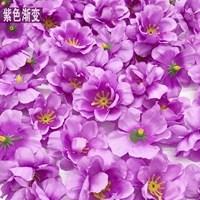 Peach Blossom Purple Gradient (100 цветов)