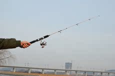 Ice удочкой 特价包邮1.2米冰钓竿套装冬钓竿 实心路亚短节筏竿船钓杆直柄垂钓