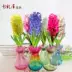 Bình thủy tinh lục bình Bình thủy tinh Narcissus Bình thủy tinh Hoa lục bình Bình thủy canh - Vase / Bồn hoa & Kệ Vase / Bồn hoa & Kệ