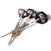 CUESOUL Q d chính hãng phi tiêu cứng 23g đặt phi tiêu chuyên nghiệp kim chống rơi JIAOLONG-F2306 - Darts / Table football / Giải trí trong nhà bộ ném phi tiêu Darts / Table football / Giải trí trong nhà