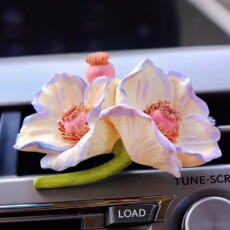 Ароматерапия украшения