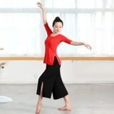 Весенняя летняя спортивная одежда для взрослых, современный классический танцующий костюм, комплект