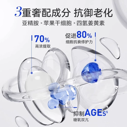 Обязательно импортированные PQQ пить красоту мускулистые анти -эластичные эластично