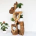 Root khắc khung phòng khách gỗ rắn nghệ thuật tự nhiên gốc cây trong nhà bonsai nhiều lớp long não gỗ trang trí sàn kệ - Các món ăn khao khát gốc