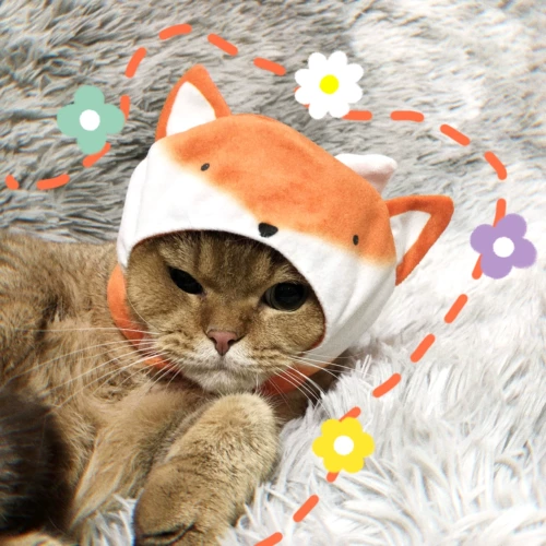 Милый розовый шлем, шапка, аксессуар для волос, наряжаться