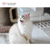 Pet маленькие внутренние брюки Голова с синими и белыми полосками Fat Secondary Cat обеспечивает маленькую собаку милая шляпа