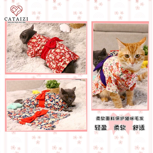 Домашние животные поставляют кошки маленькие собаки осенью и зимним японским стилем вишня цветут милый дом удобный дом и одежда, чтобы сфотографироваться