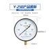 Relda Y-40/200/250 thông thường đồng hồ đo áp suất khí nước dầu áp xuyên tâm 0-1.6mpa/2.5/40 