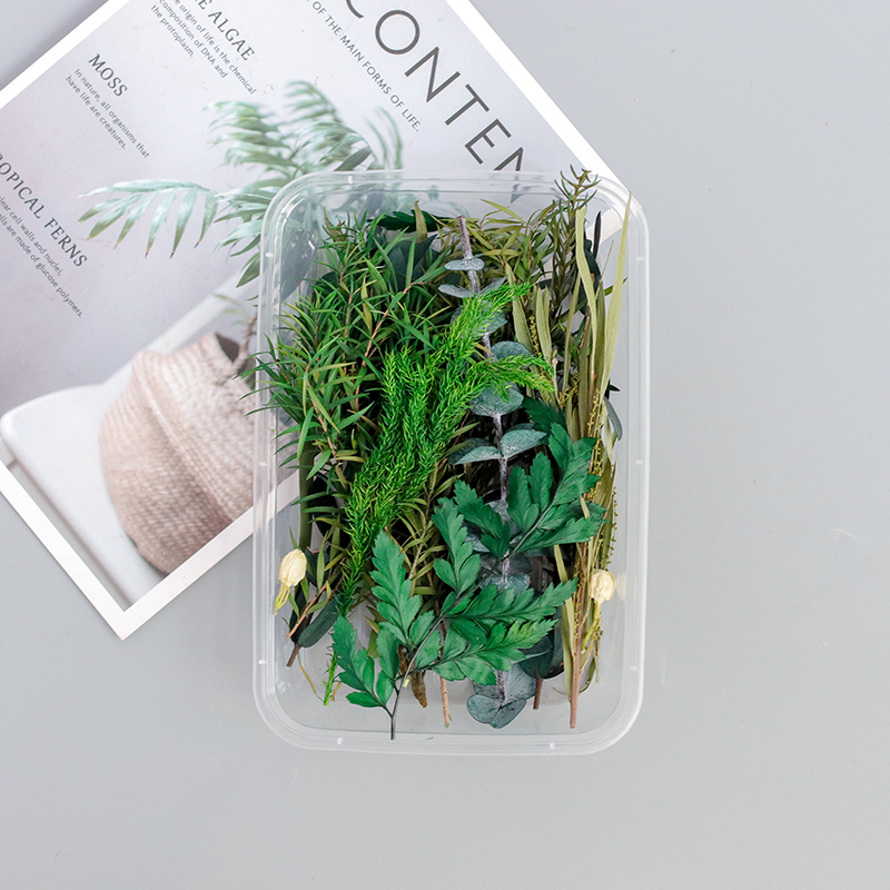Green Shade / Dried Flower Boxbeautiful Mu son Mixed pack diy Hand made decorate Immortal flower Dried flower Set meal Material Science diy Photo frame Flower wood Embossed bag