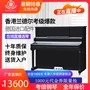 Đàn piano Hồng Kông-Randall 125C nhập khẩu dọc bằng gỗ nguyên khối 88 phím đàn piano màu đen sáng mới - dương cầm piano mozart